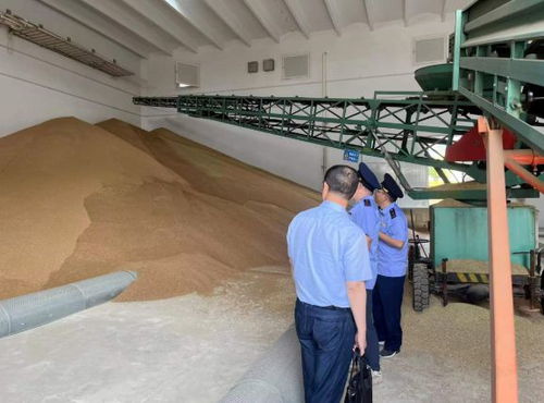 違規(guī)收購(gòu)糧食被罰10萬元，南京公布一批典型案例加強(qiáng)糧食市場(chǎng)管理